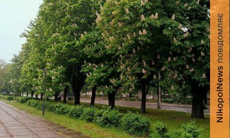 погода у Нікополі 17 травня