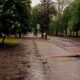 погода у Нікополі