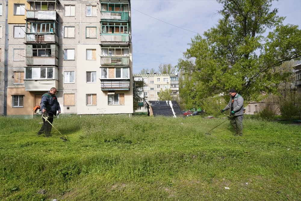 трава