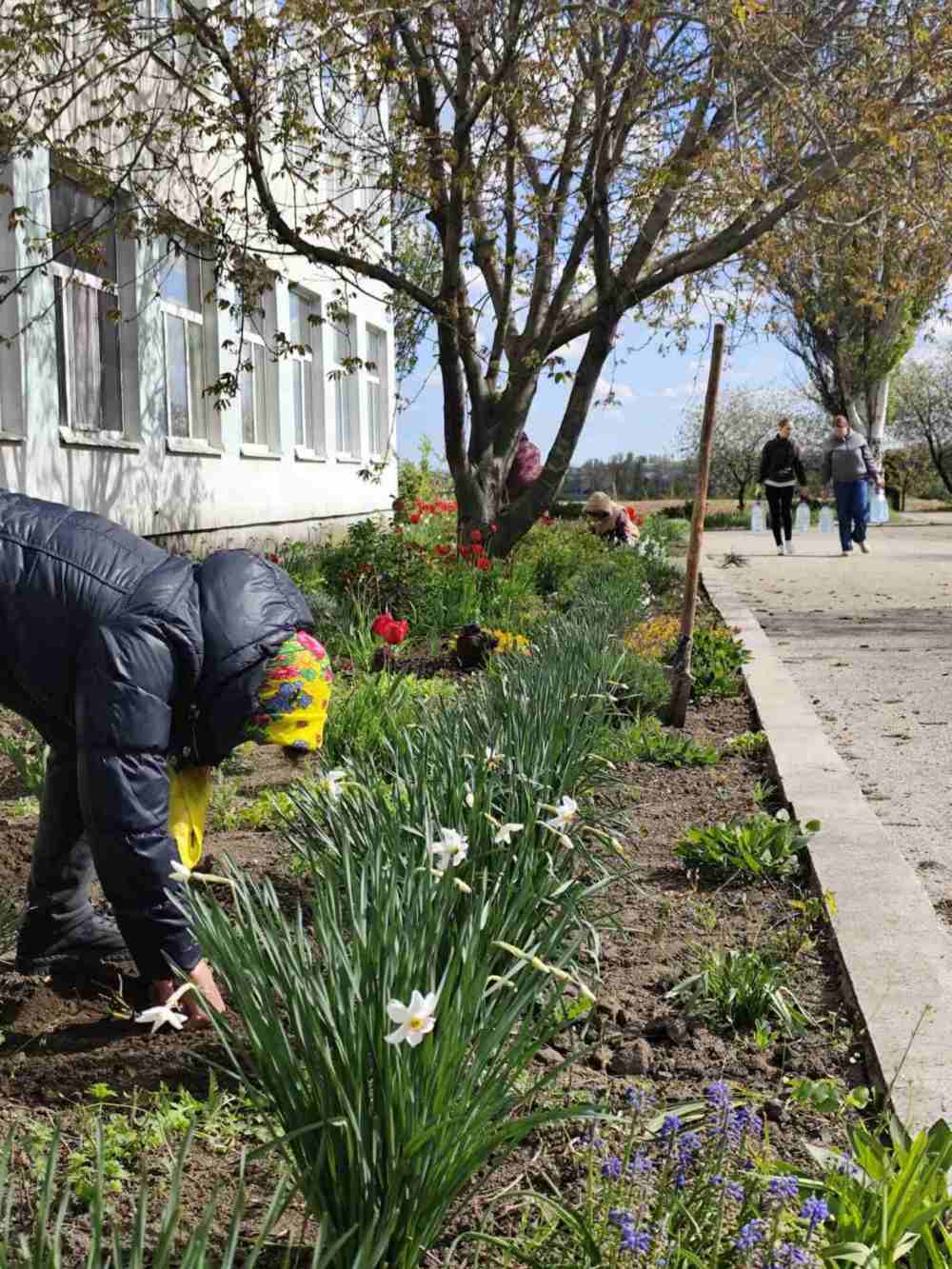 у Мирівській громаді