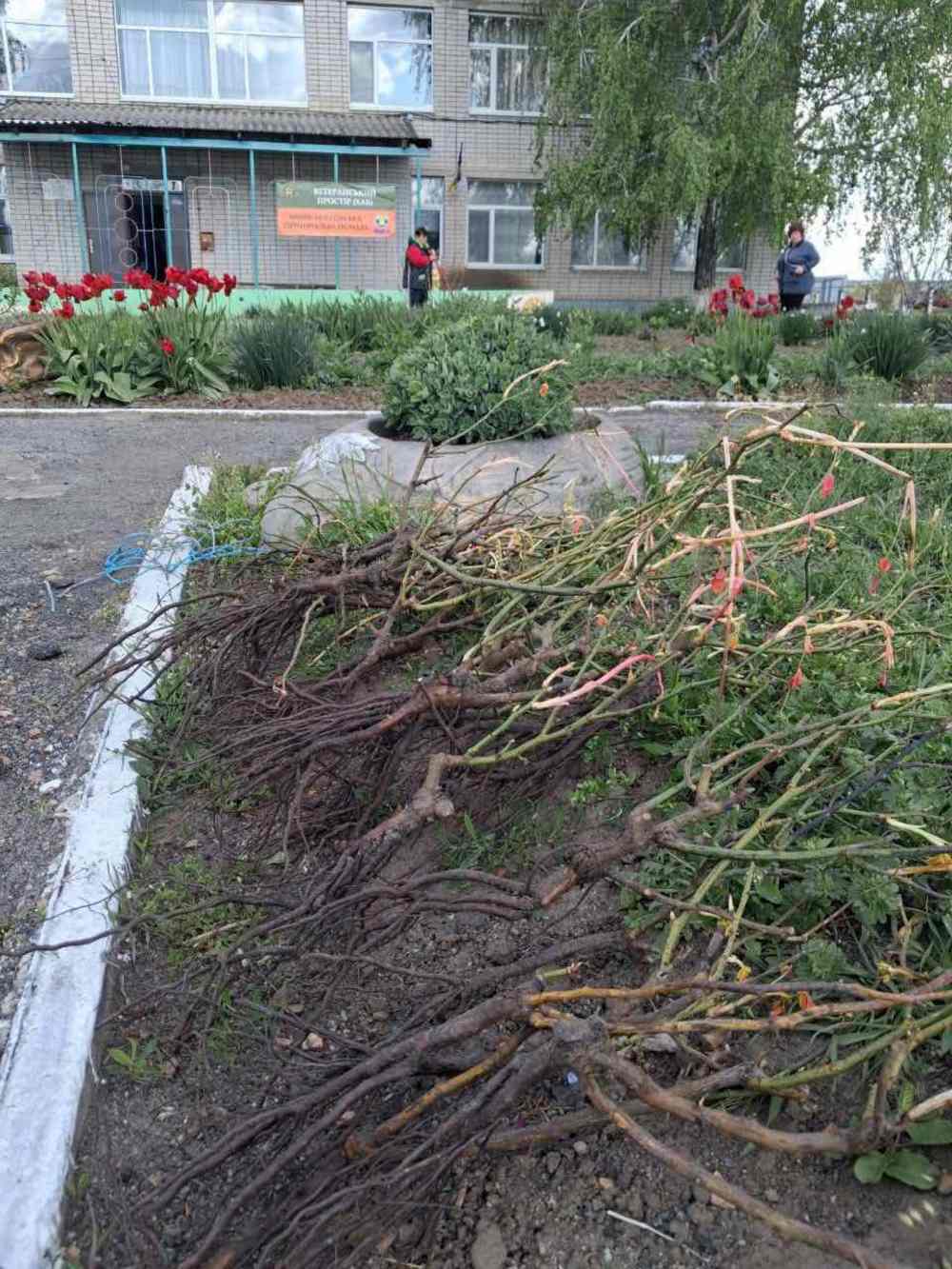 у Мирівській громаді 3