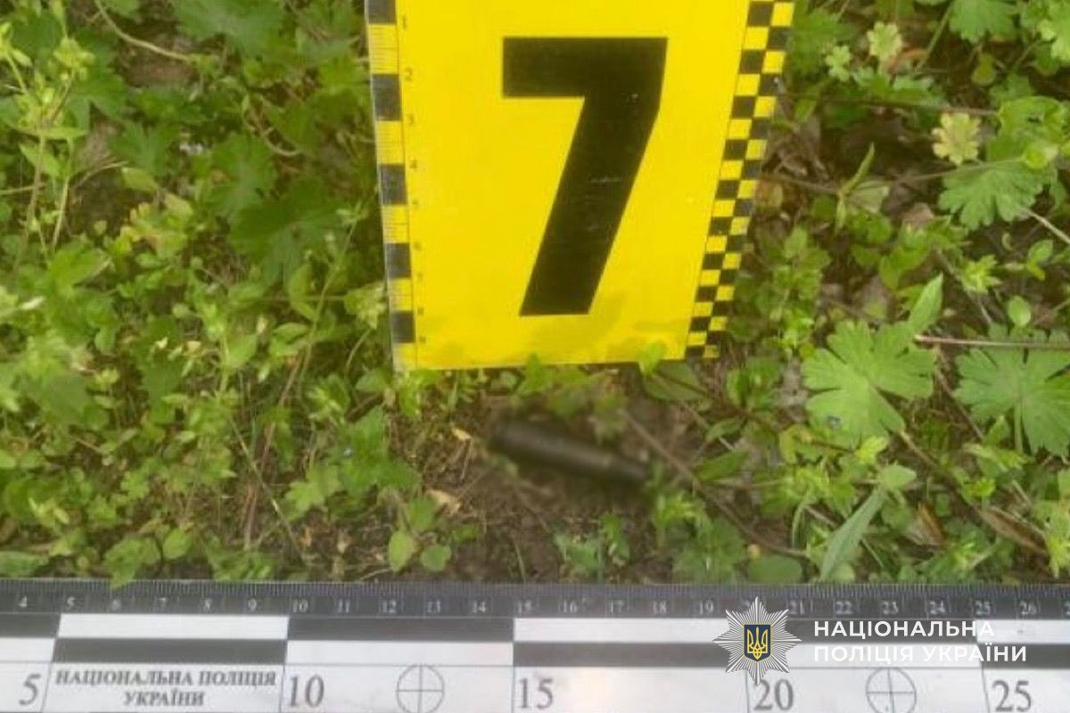 у Нікополі