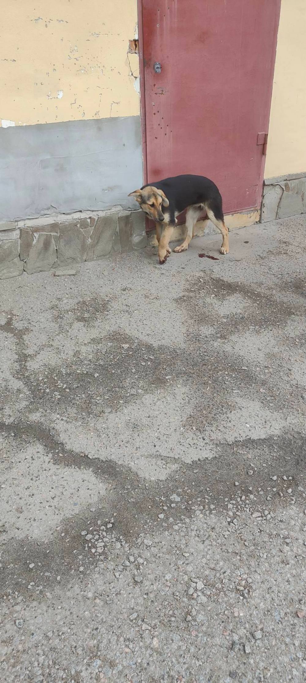 у Нікополі 3 у Нікополі 3