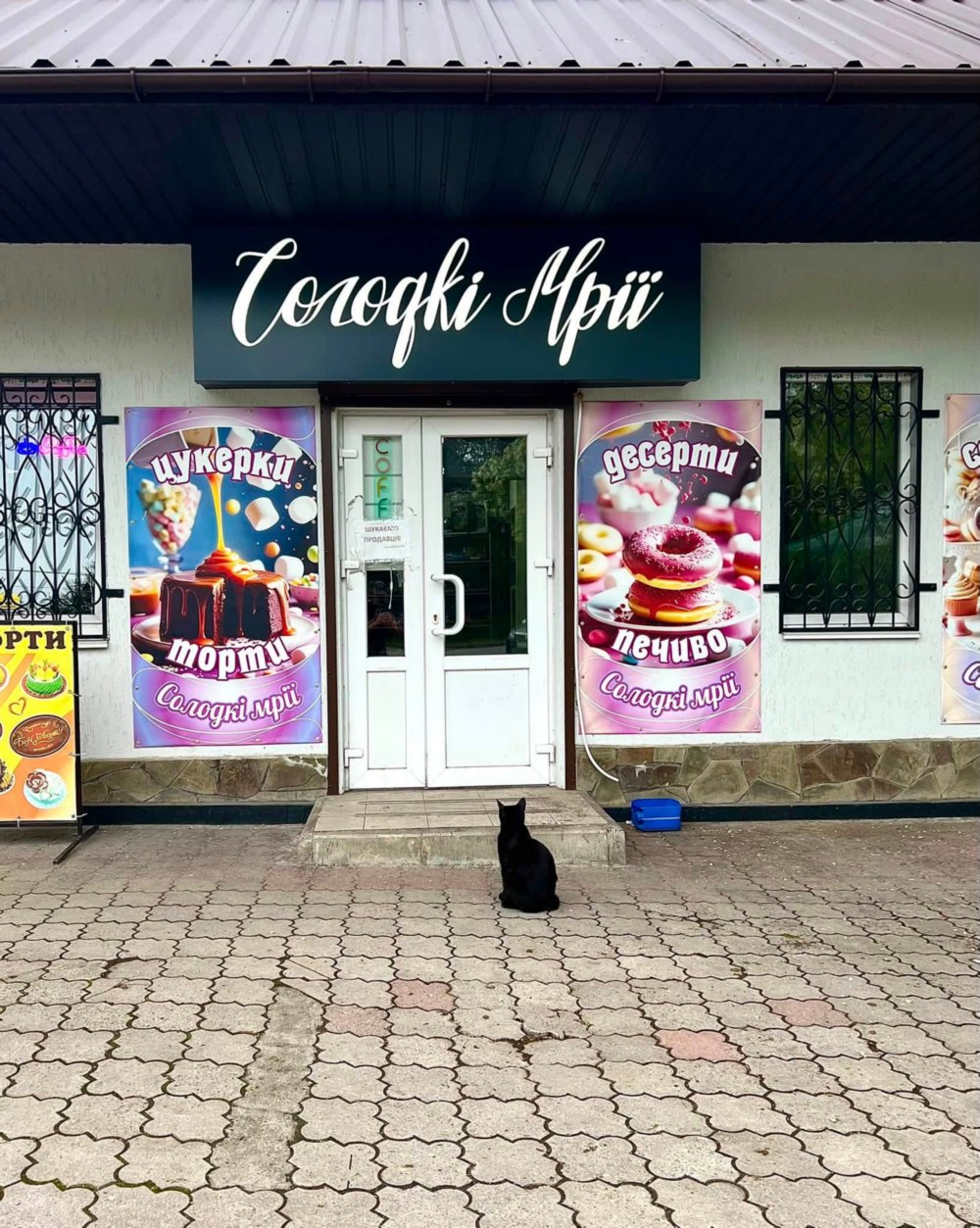 у Нікополі 4