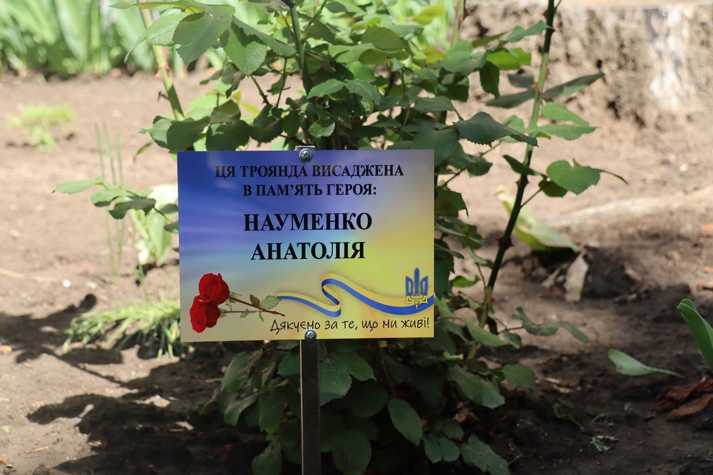 у Покрові 18 у Покрові 18