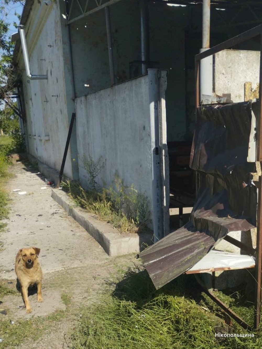 звіт4