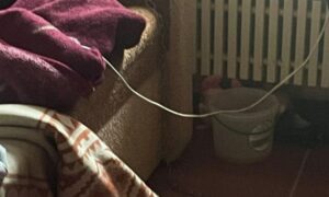Мати утримувала 7-річного сина на ланцюгу: на Дніпропетровщині розслідують факт катування дитини
