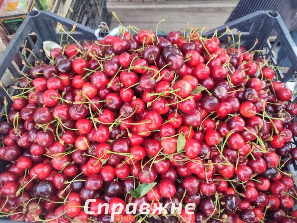 Нікополь і Марганець забезпечують черешнею та полуницею Запоріжжя: Нікополь і Марганець забезпечують черешнею та полуницею Запоріжжя: