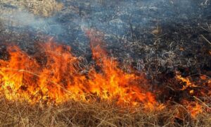 З 6 по 10 червня жителів Дніпропетровщини попередили про пожежну небезпеку