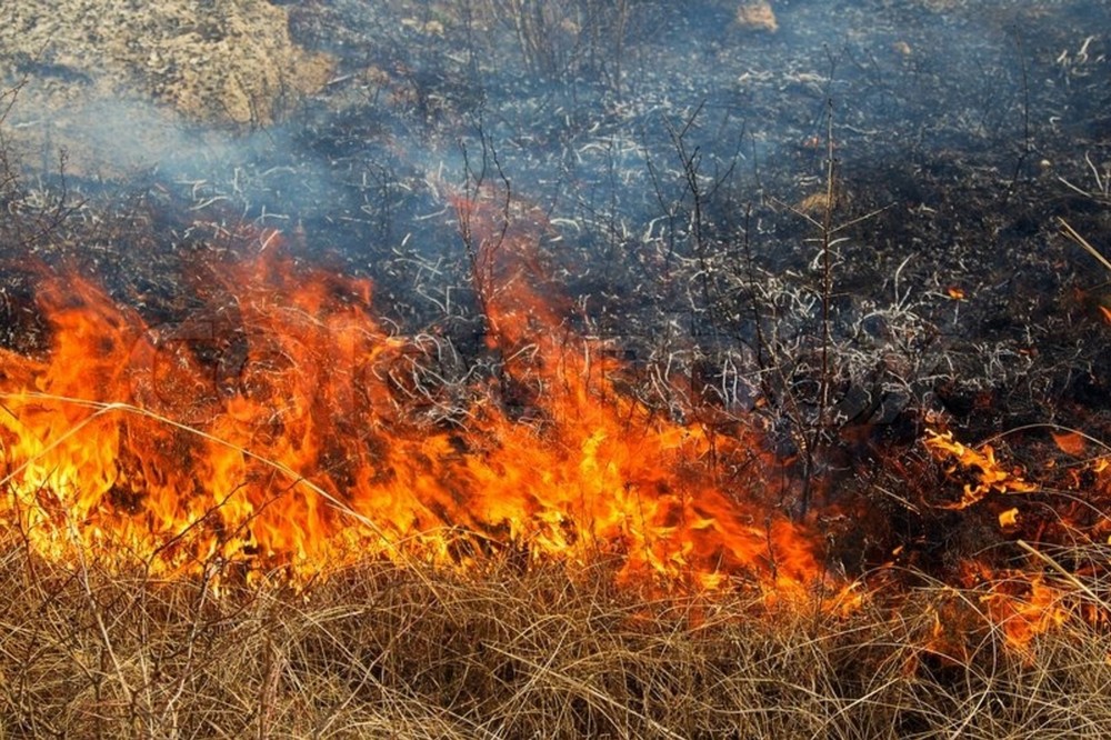 З 6 по 10 червня жителів Дніпропетровщини попередили про пожежну небезпеку