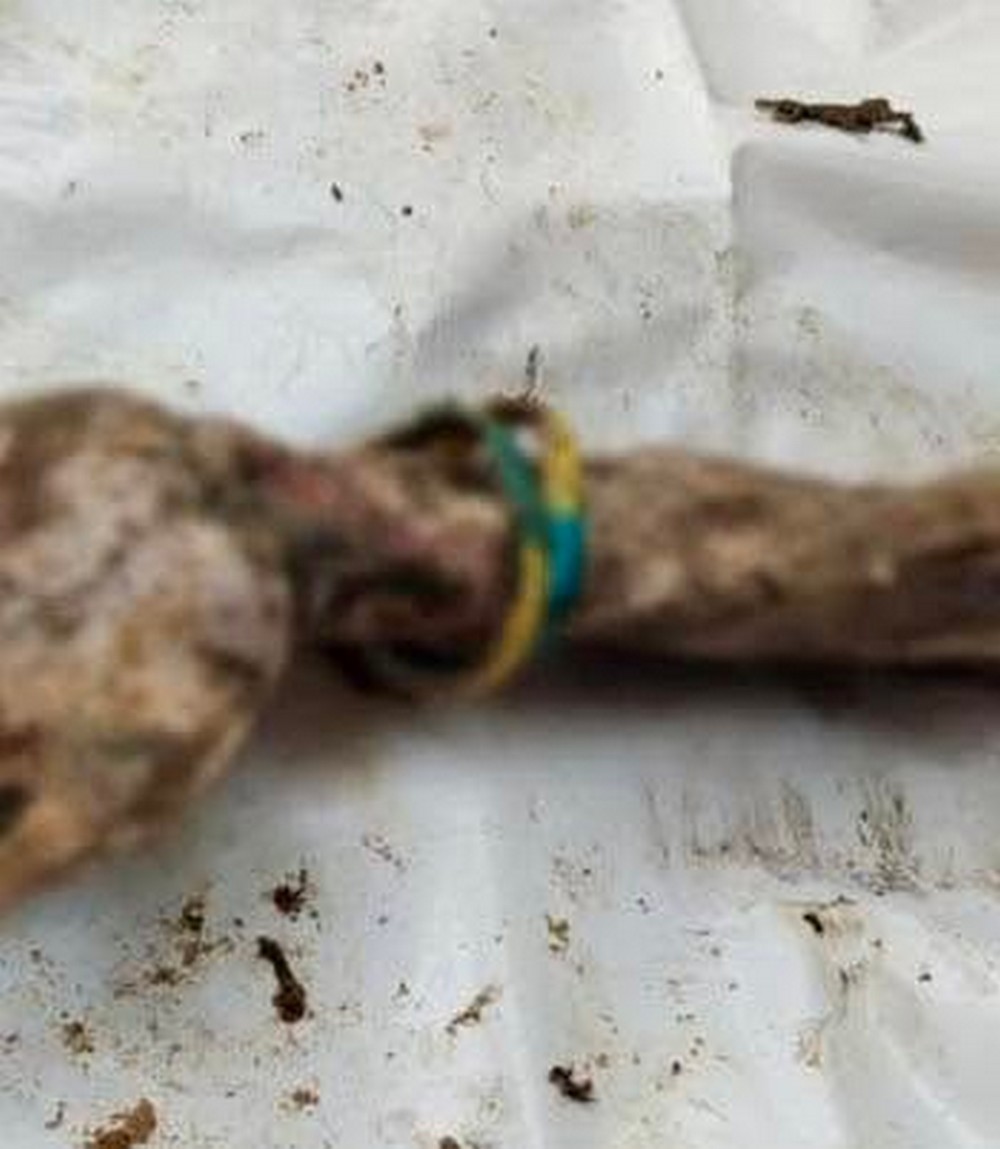 На державному рівні відзначили ювілей полеглого Захисника з Нікополя Сергія Сови