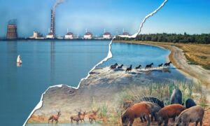 «У розлом хлинуло 18,2 кубічних кілометрів води…»: повернення Великого Лугу – як це було, що зараз і що далі?