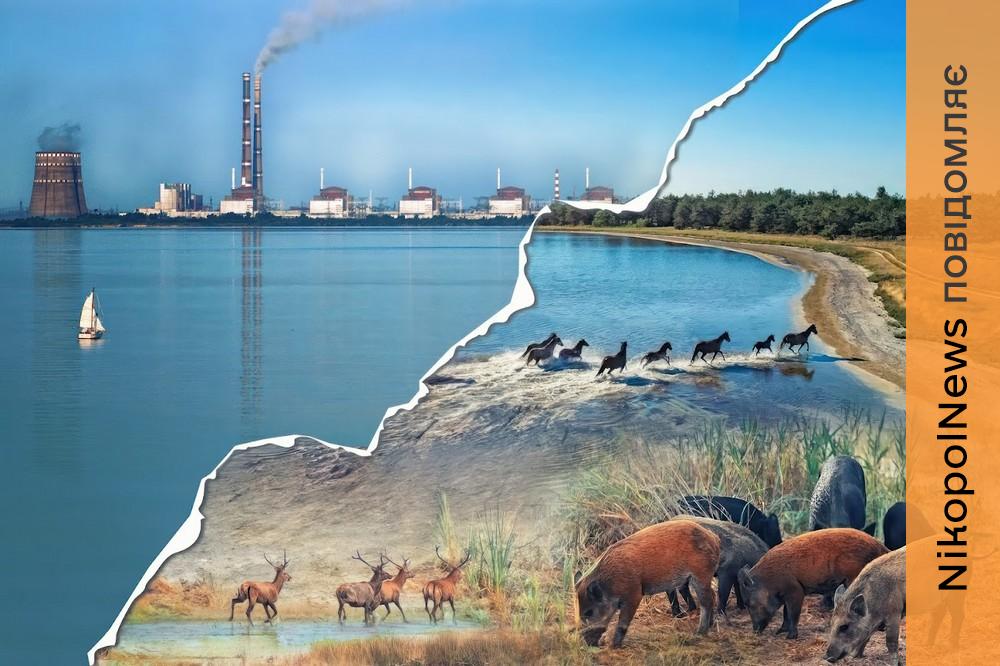 «У розлом хлинуло 18,2 кубічних кілометрів води…»: повернення Великого Лугу – як це було, що зараз і що далі?