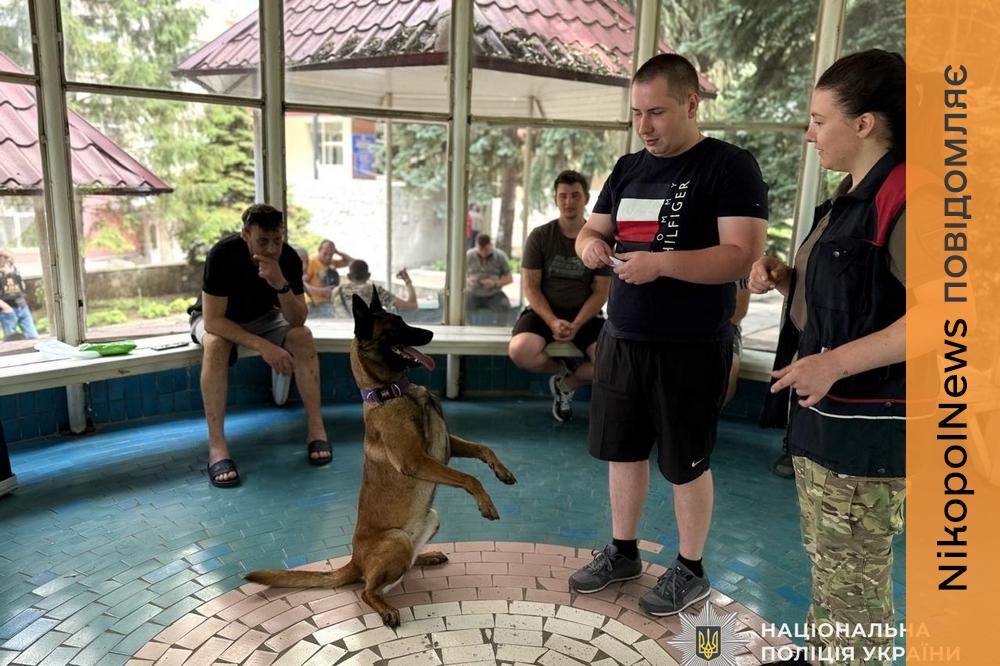 Пораненим Захисникам у лікарні Дніпропетровщини провели заняття з емоційної підтримки за участю службових собак