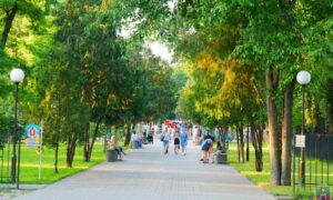 Прийдіть за 15 хвилин до заброньованого часу: як пройти Скринінг здоров’я 40+ у Покрові