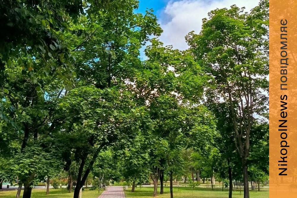 Погода у Нікополі