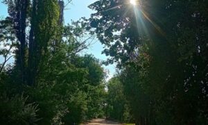 Погода у Нікополі