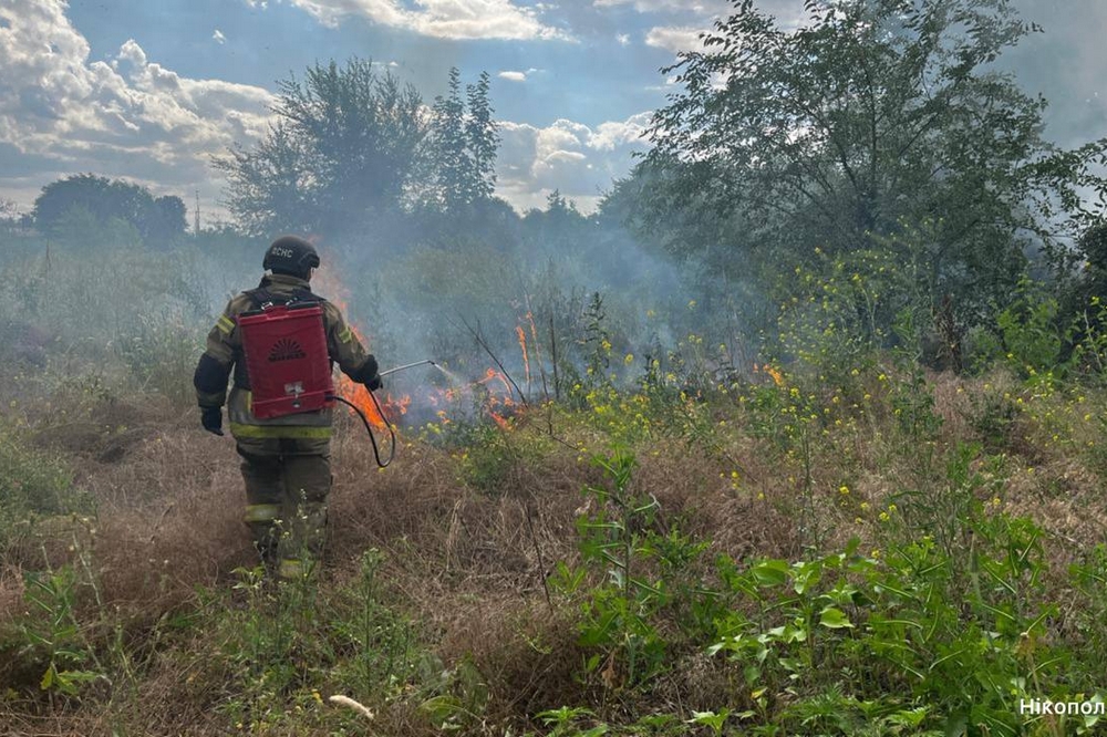 У Нікополі3