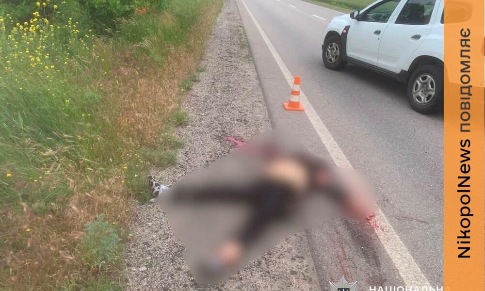 Дрон влучив у авто під час руху по трасі: смертельний обстріл Нікопольщини, 13 поранених в районі і області за добу - подробиці і фото від поліції