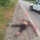 Дрон влучив у авто під час руху по трасі: смертельний обстріл Нікопольщини, 13 поранених в районі і області за добу - подробиці і фото від поліції