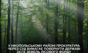У Нікопольському районі через суд намагаються повернути державі 24 га лісових земель