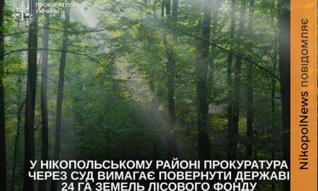 У Нікопольському районі через суд намагаються повернути державі 24 га лісових земель