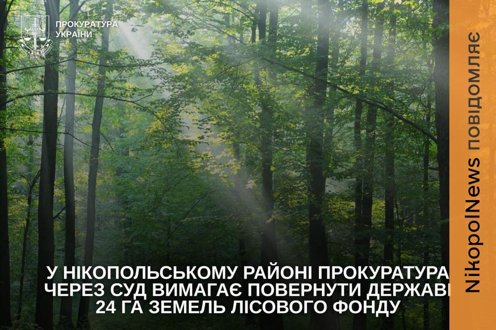 У Нікопольському районі через суд намагаються повернути державі 24 га лісових земель