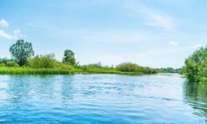 З початку червня на водоймах Дніпропетровщини загинули 11 людей: жителів області закликають бути обережними