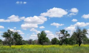 Без опадів: якою буде погода у Нікополі 21 червня