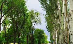погода у Нікополі 2 червня