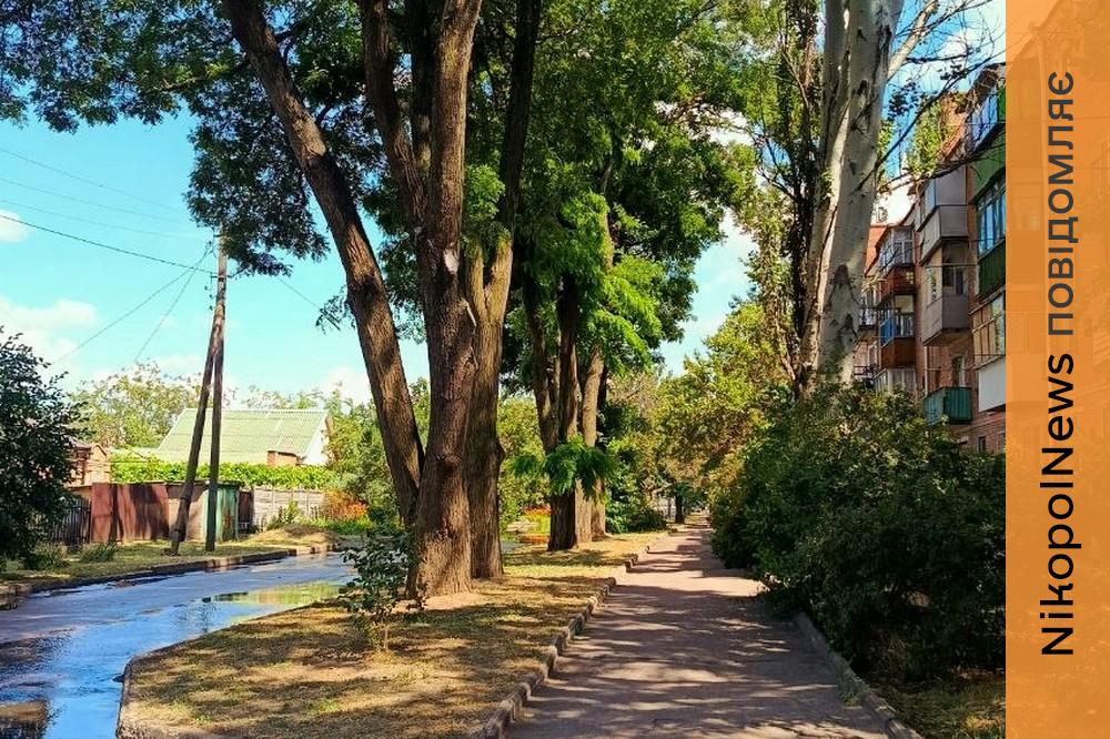 погода у Нікополі 24 червня