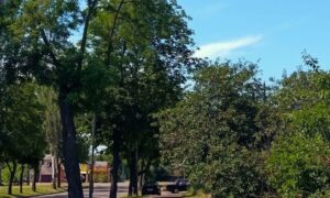погода у Нікополі