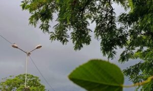 погода у Нікополі 9 червня