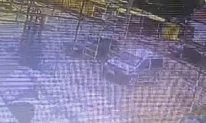 у Нікополі