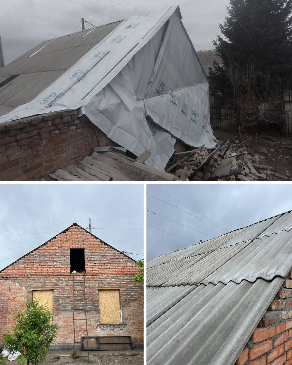 у Нікополі12 у Нікополі12