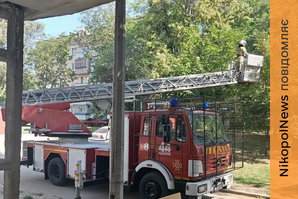 у Покрові