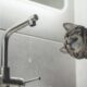 У Томаківці 30 червня тимчасово відключили воду: названо причину
