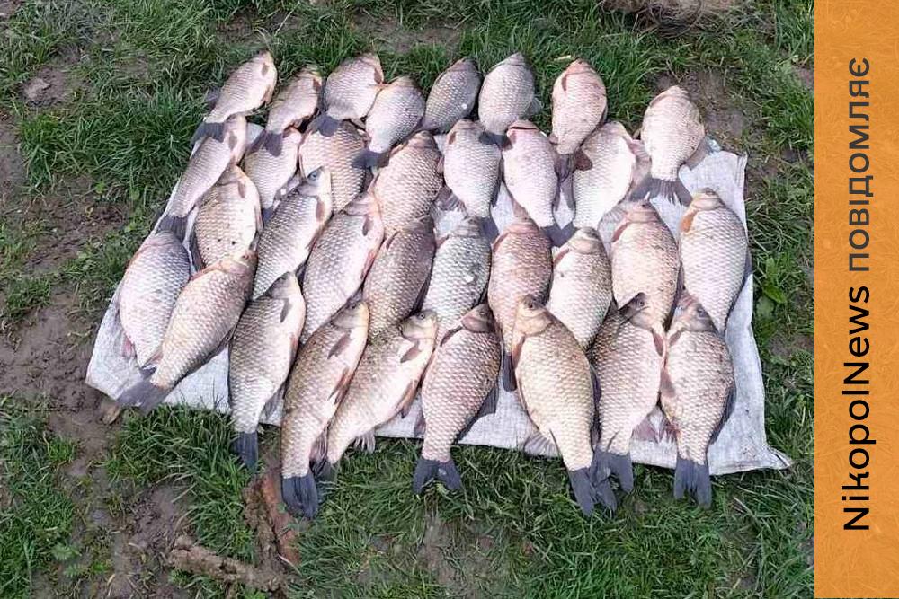 100 000 грн за 60 сріблястих карасів і одного сазана: у Нікополі судили рибалку
