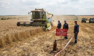Увага! На полях Нікопольського району можуть знаходитися вибухонебезпечні предмети