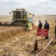 Увага! На полях Нікопольського району можуть знаходитися вибухонебезпечні предмети