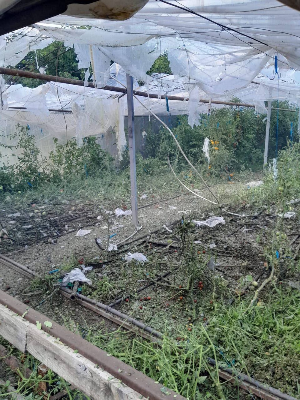 Нікополь4 Нікополь4