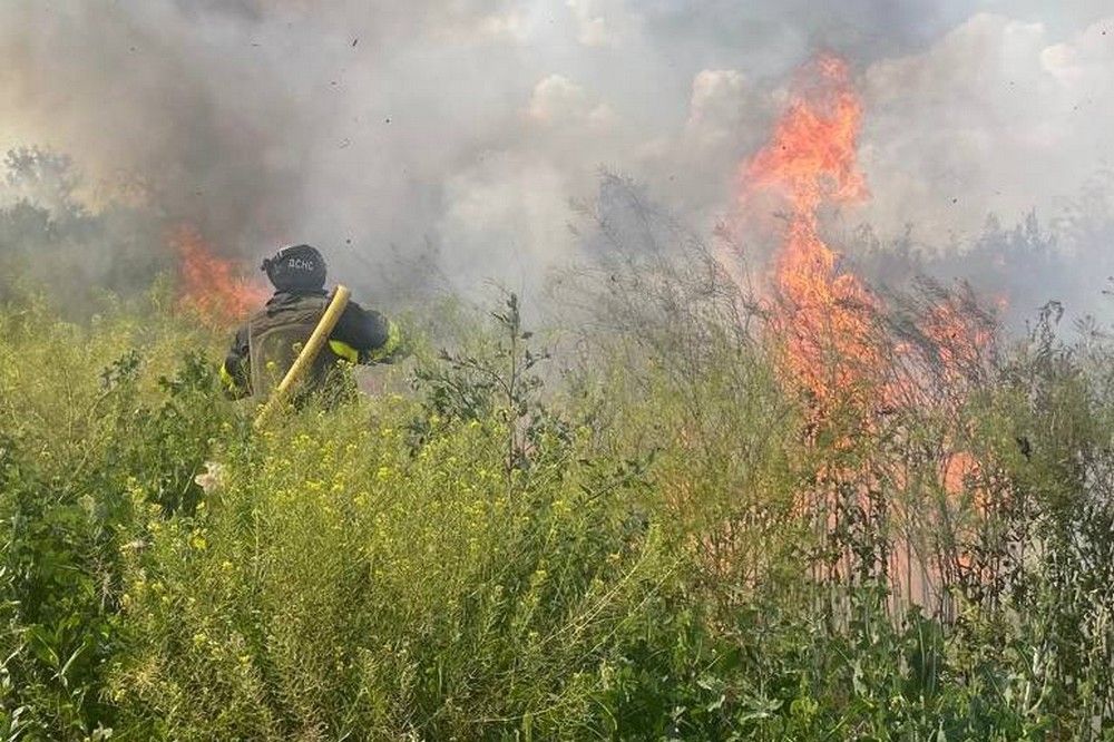 Нікопольщина 5 Нікопольщина 5