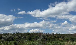 До 34 градусів тепла: якою буде погода у Нікополі 2 липня