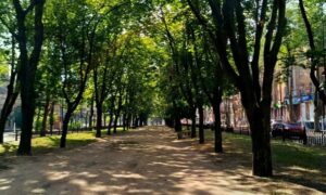 Погода у Нікополі