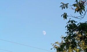 Погода у Нікополі