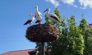 Погода у Нікополі