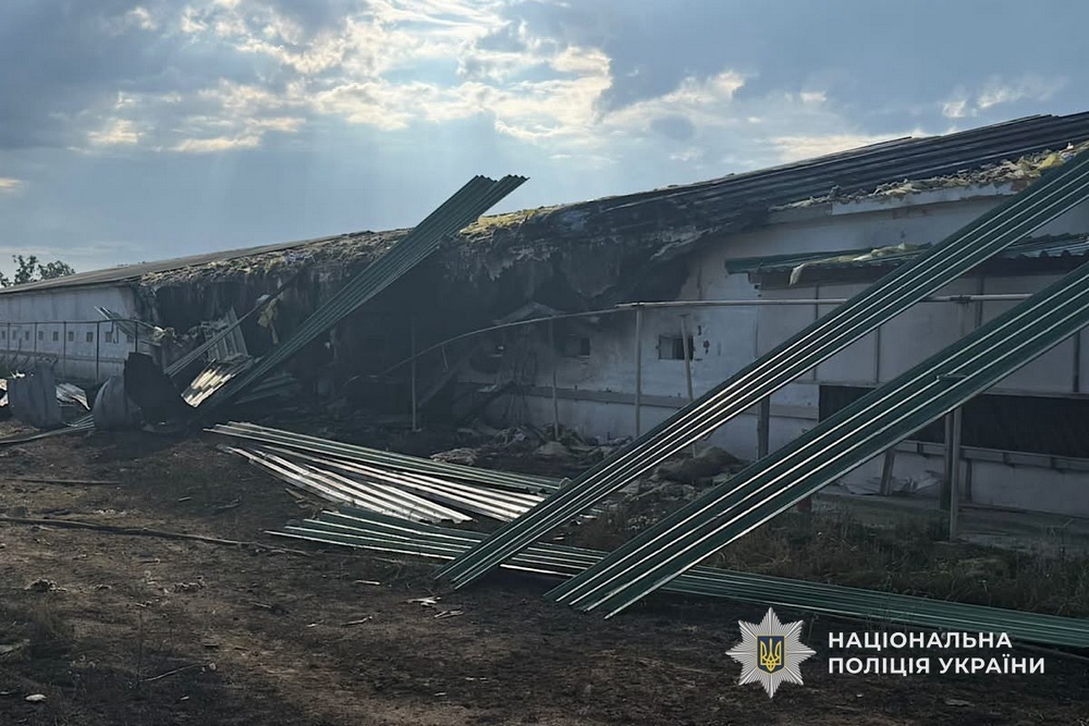 У Нікополі та районі7 У Нікополі та районі7