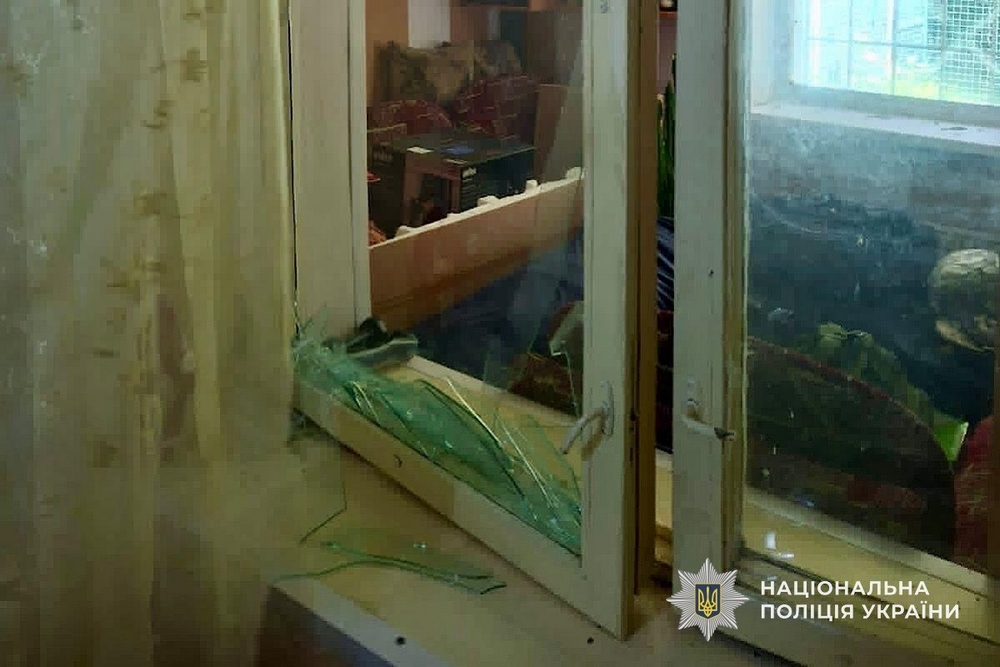 У Нікополі1 У Нікополі1