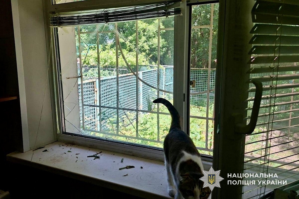У Нікополі4 У Нікополі4