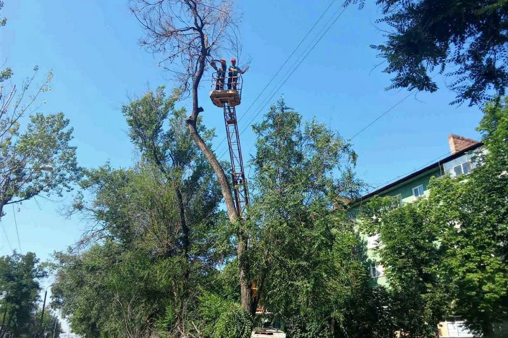 У Нікополі9
